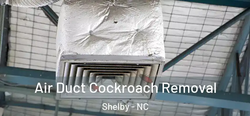  Air Duct Cockroach Removal Shelby - NC
