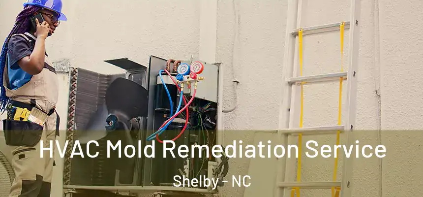  HVAC Mold Remediation Service Shelby - NC