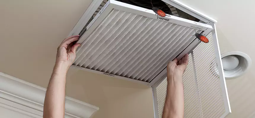 Preventive Cockroach-Proofing for Ducts in Shelby