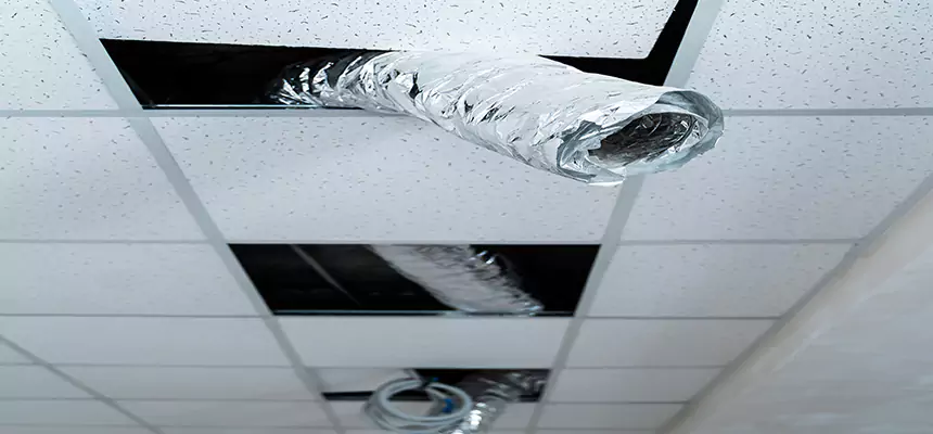 Our Air Duct Pet Hair Removal Services in Shelby, NC