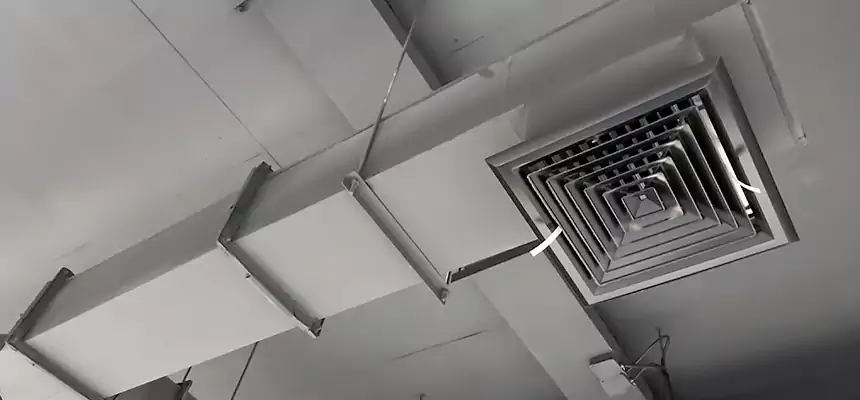 Our Rodent Droppings In Vents Services in Shelby, NC