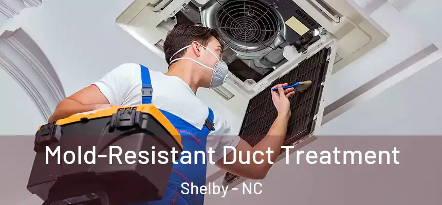  Mold-Resistant Duct Treatment Shelby - NC