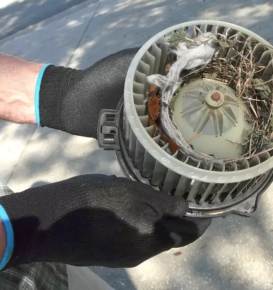 About Air Duct Rat Removal in Shelby, NC