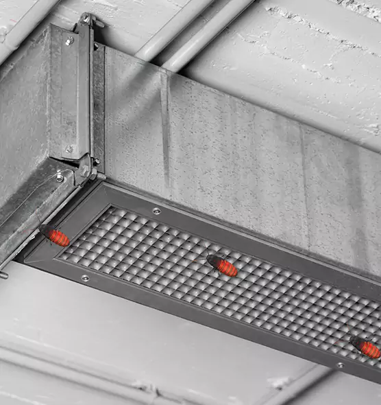 Affordable Insect Removal from Air Ducts in Shelby, NC
