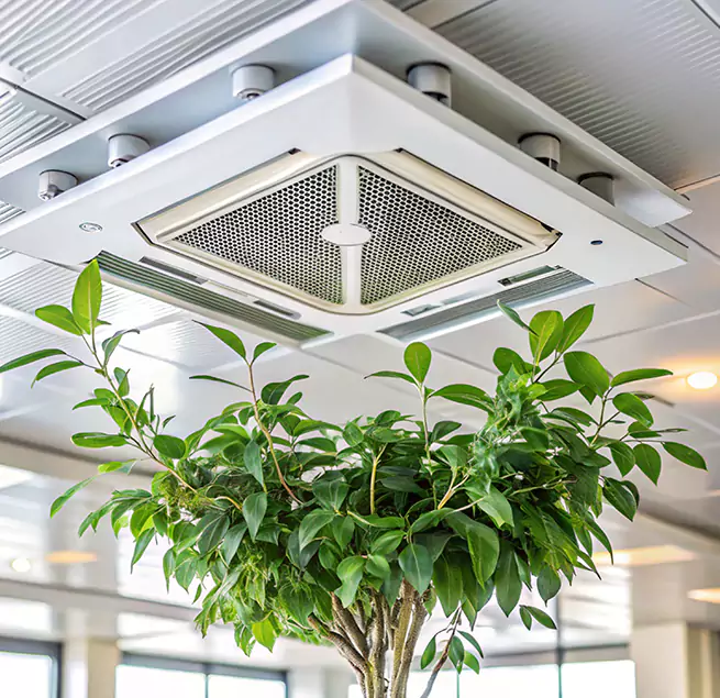 Why Homeowners & Businesses Trust Us in Shelby, NC?